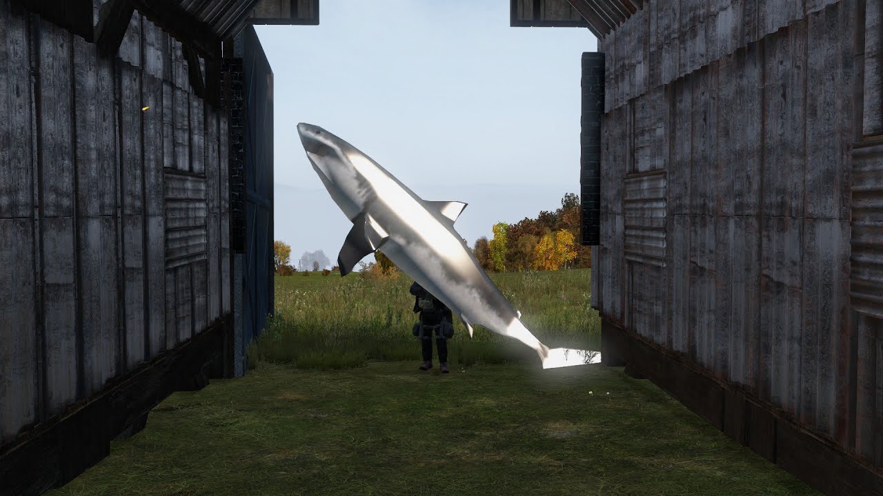LAB SHENANIGANS #3 - DayZ