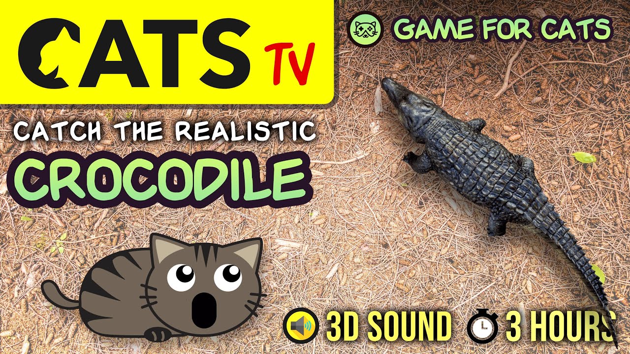 CAT GAMES 😻 Realistic Crocodile 🐊 [CATS TV] Entertainment For Cats
