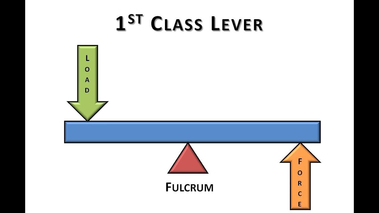 1st Class Lever Video