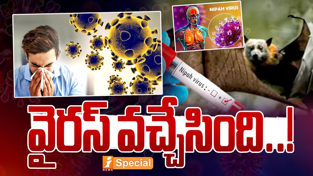 వైరస్ వచ్చేసింది.! | Nipah Virus Alert in West Bengal | How Dangerous Is Nipah Compared to Corona?
