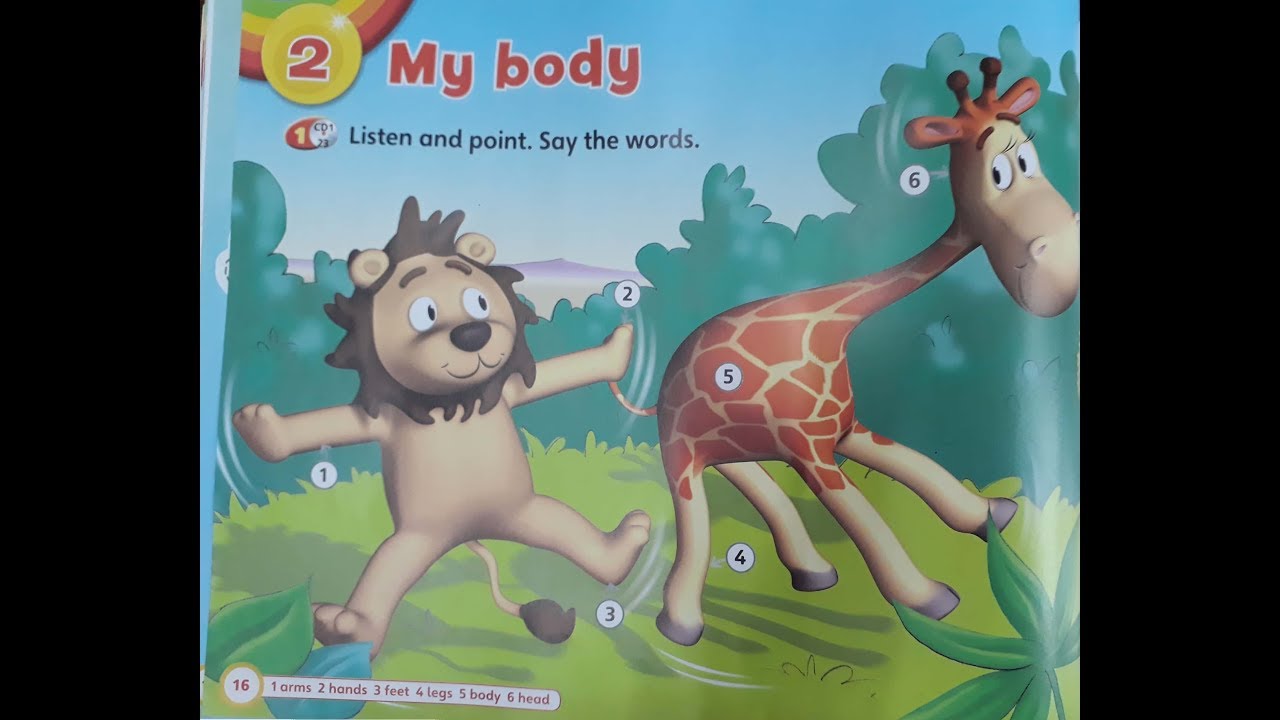 Super safari 2l unit 2  :My body l Tiếng anh mầm non ( tiếng anh cho bé 3-6 tuổi)