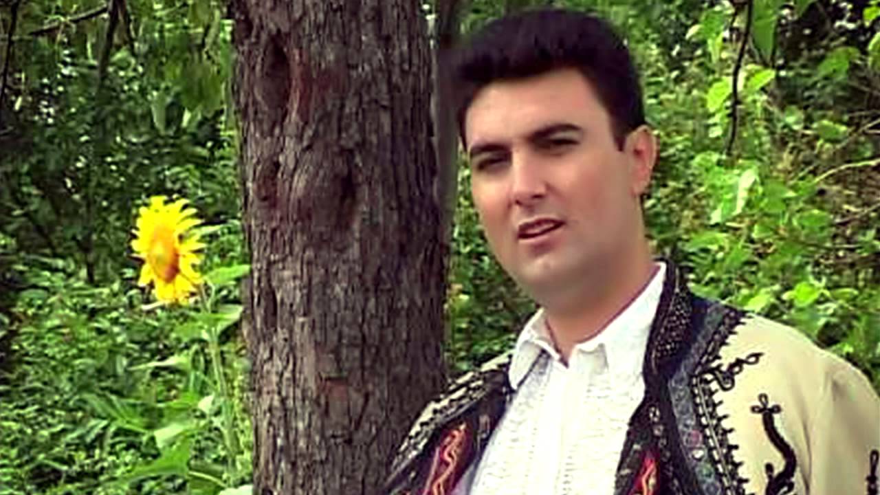 Constantin Magureanu - De-as putea mandruta mea