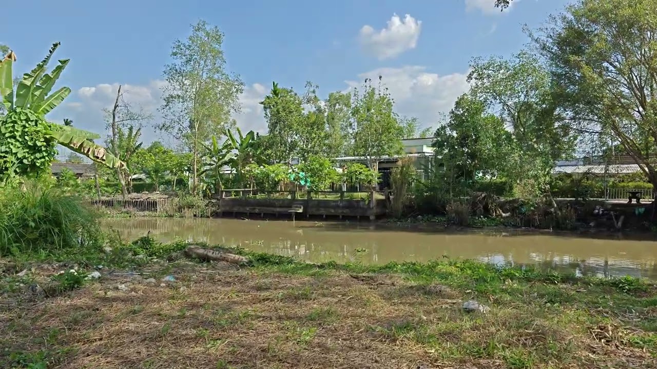 450m2 (13.4 x 43) hậu 14.4m có 200m thổ lộ nhựa cách chợ 300m | Trường Long TP Cần Thơ | 0901033334