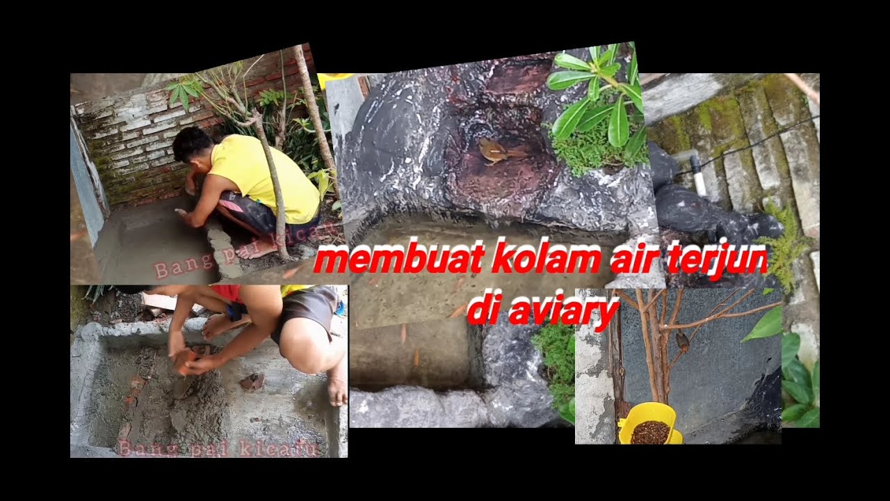 Aviary kolam ikan  _kandang aviary (part 4) membuat kolam air terjun
