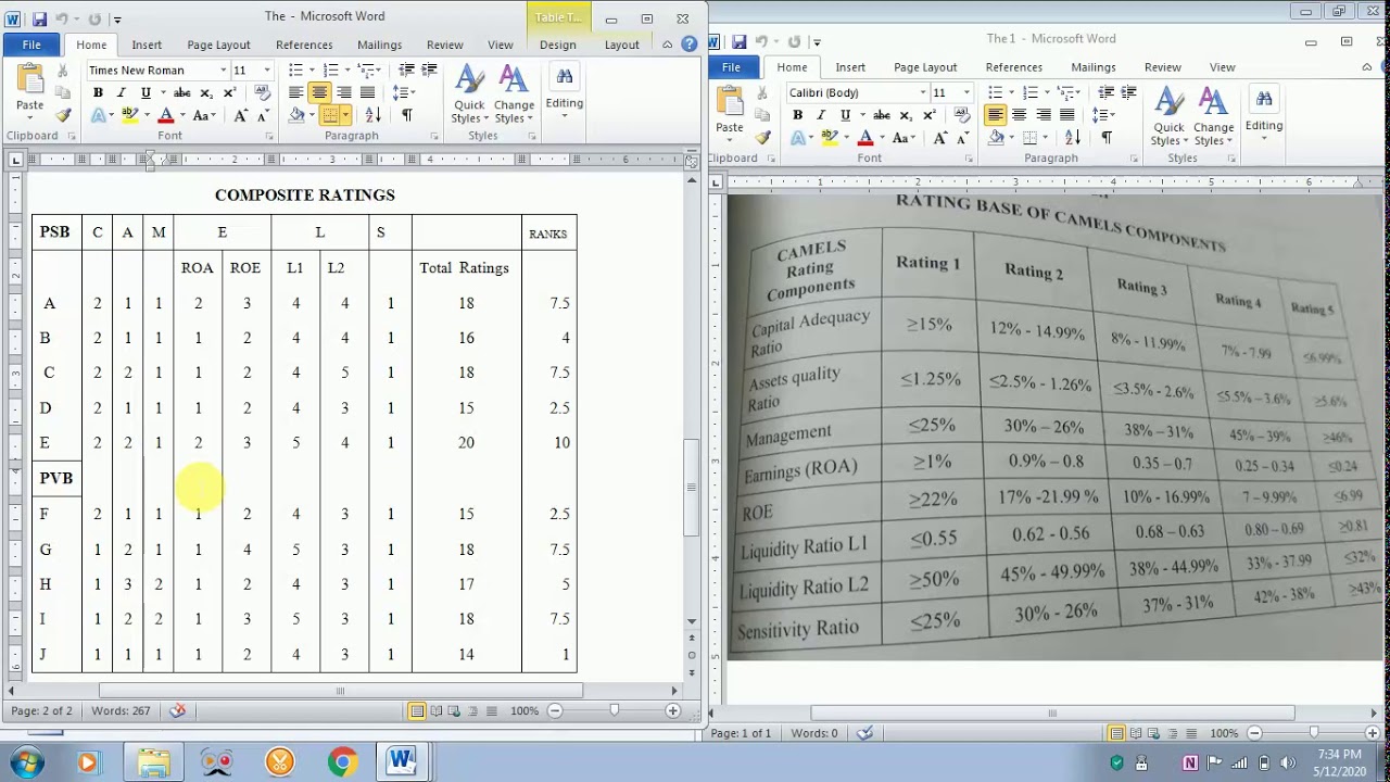 HOW TO DO CAMELS RATING FOR ANALYZING THE PERFORMANCE