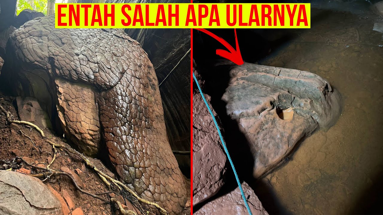 DULUNYA ULAR SEKARANG DIKUTUK JADI BATU - PENAMPAKAN2 TERANEH YANG TEREKAM KAMERA