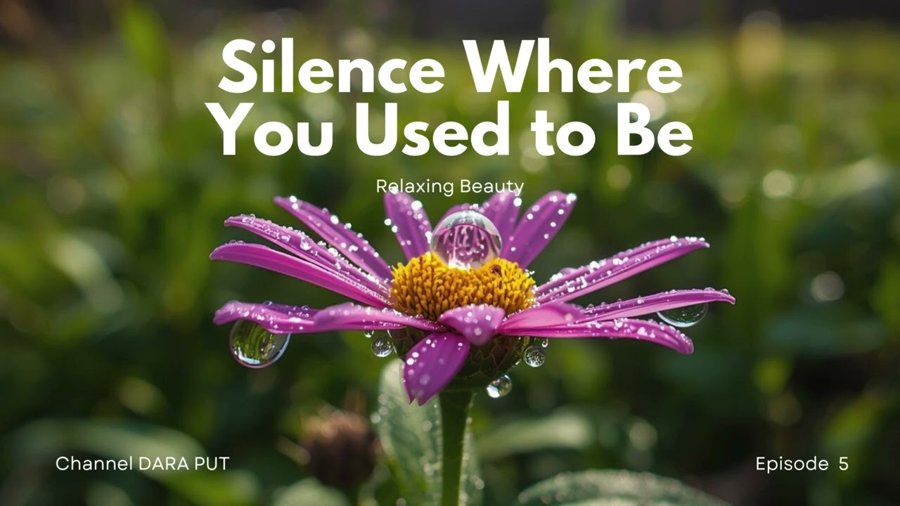 Silence Where You Used to Be Newest Heartbreak Ballads || English Sad Songs🔥