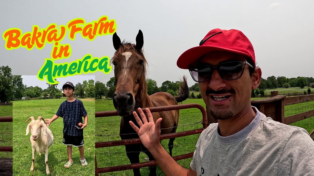 Finding the Perfect Goat for Eid ul Adha in USA  | Farm Visit