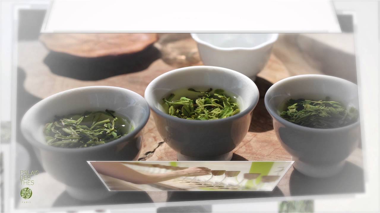 Savour The Best of Tea