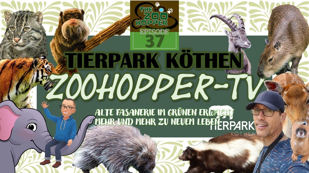 Alte Fasanerie im Grünen erwacht mehr und mehr zu neuem Leben (Zoohopper-TV Episode 37)