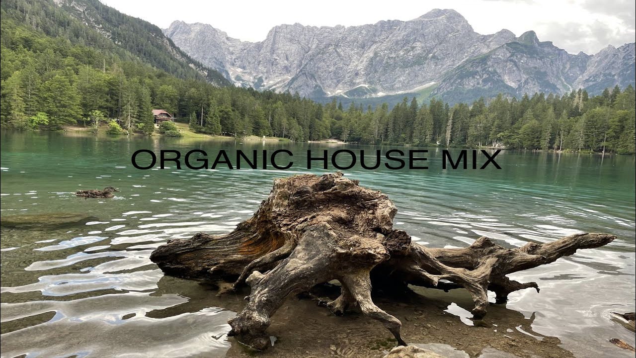 Ibiza Terrace Session Vol.20 [Organic House] DJ mix by AlexS | Spain | 2025