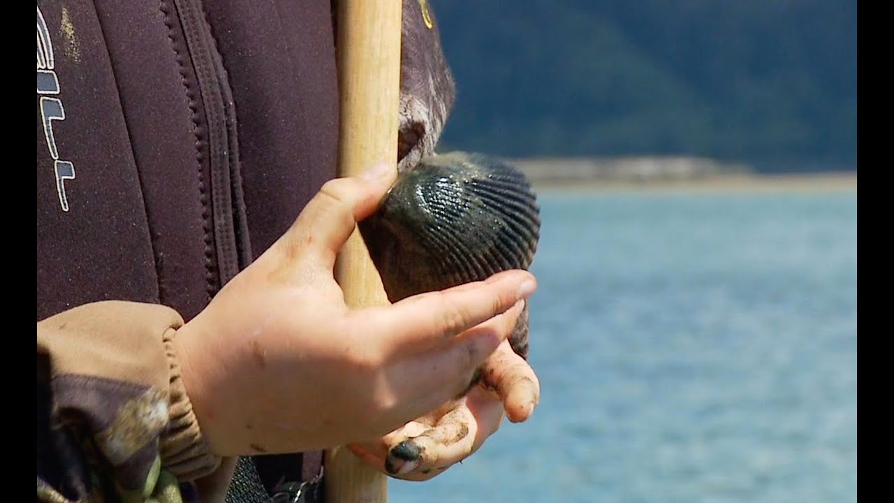 Grant's Getaways:  Tillamook Bay Clamming and Recipes