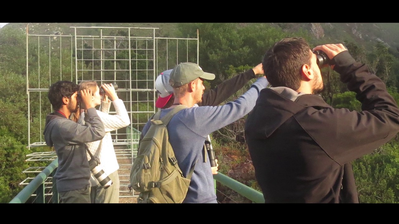 UCT Birding Club takes off