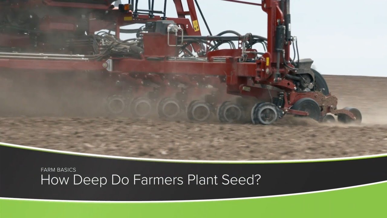 Farm Basics #1204 How Deep Do Farmers Plant Seed? (Air Date 5-2-21)