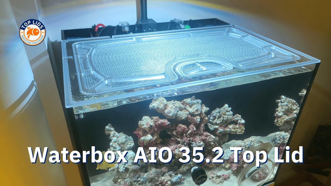 The Perfect Starter Tank | Waterbox AIO 35.2 Top Lid