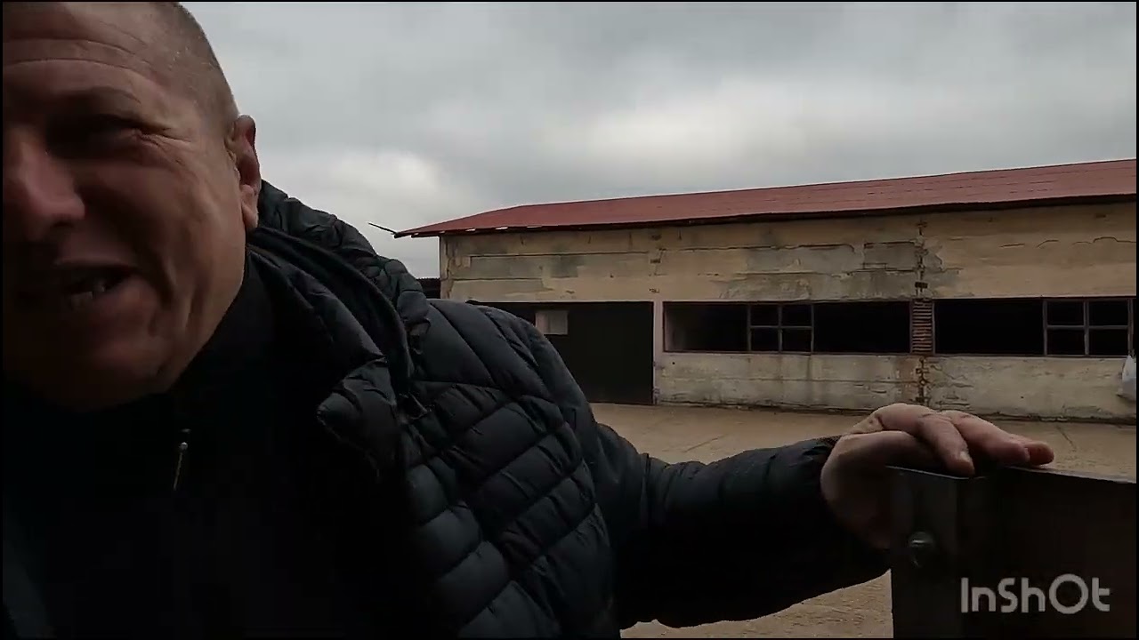 Fermă de 3200 oi breze a Lui Dilirici Gigel din Berevoesti .Arges