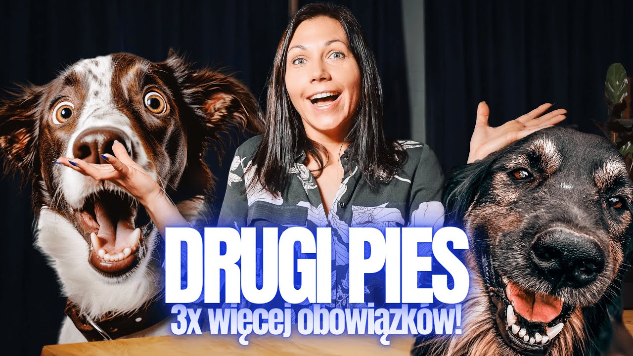 Drugi pies... czego nikt Ci nie powie | Czy Snickers będzie miał braciszka?