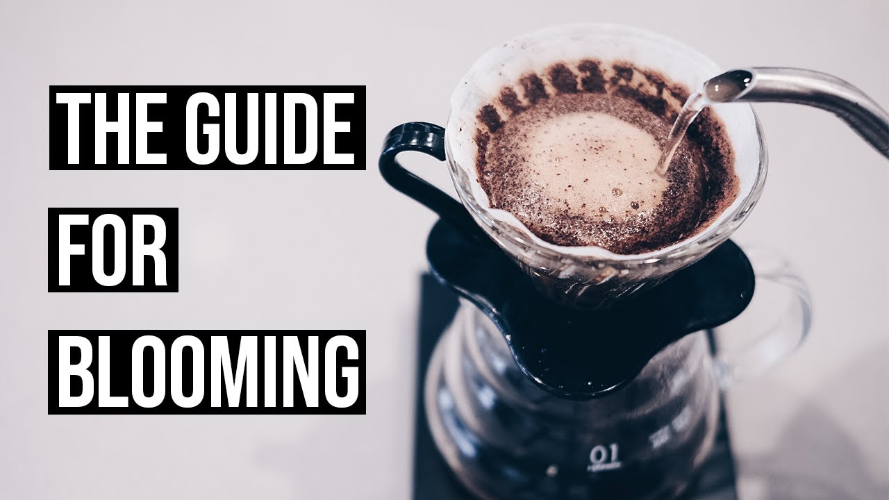 POUR OVER BLOOM GUIDE (Yes Vincent actually blooming)