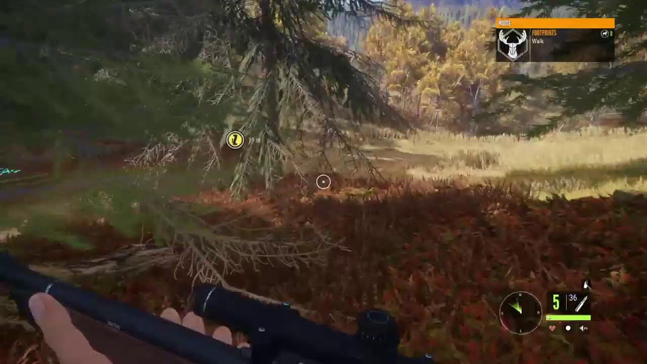 LETS GO HUNTING BABY