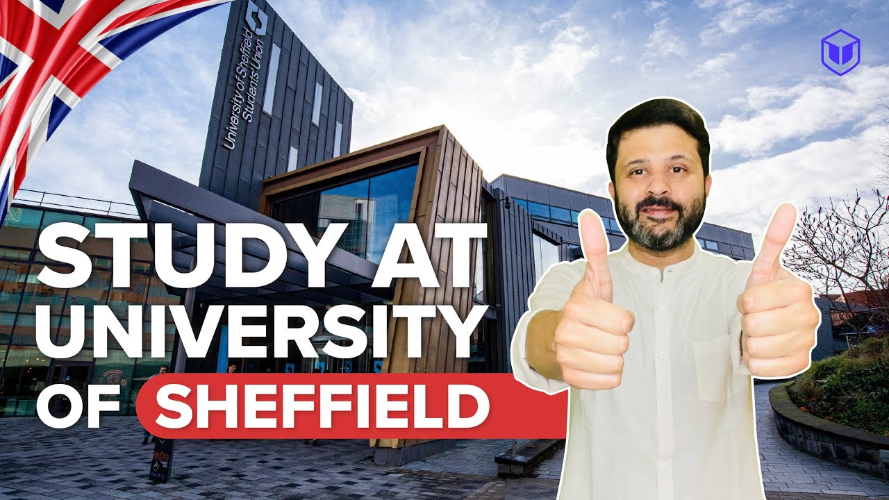 Study at University of Sheffield | Entry Requirements | Scholarships | Costs | LeapScholar