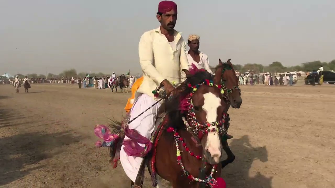 Horses Race Melo Mian Jan Muhammad  @Amarkot Sindh گهوڙن جي ڊوڙ ميلو ميان جان محمد @امرڪوٽ