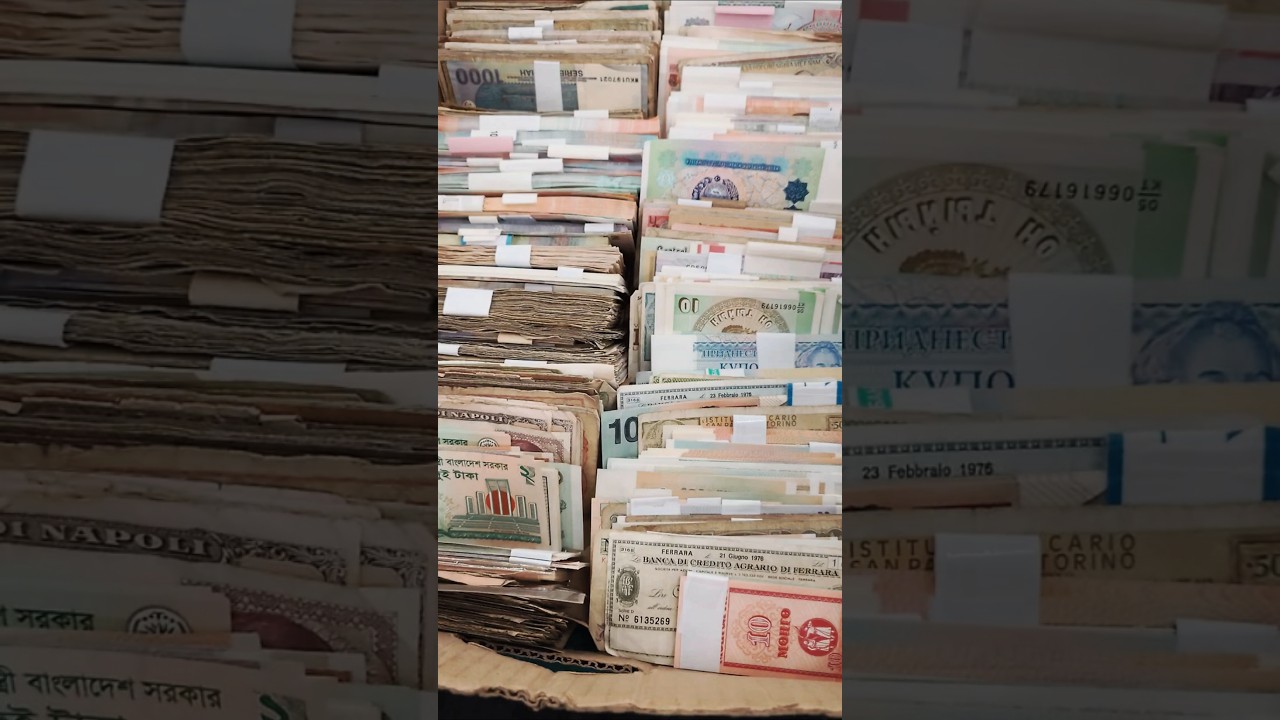 Каждая банкнота по 50 центов - Numismata 2025 #collecting #banknotes