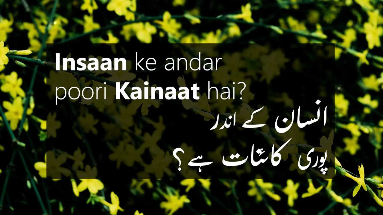 Kya Poori Kainat Insaan kae ander hai? | انسان کے اندر پوری کائنات ہے؟