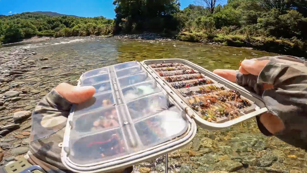 DRY FLY FISHING for TROUT in NEW ZEALAND / Summertime