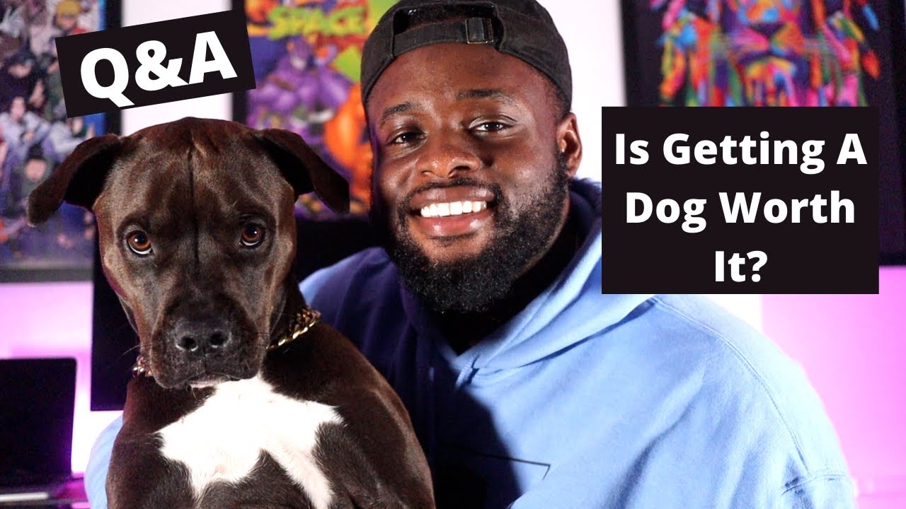 Raw And Honest Q&A | Getting To Know Me And My Dog *Emotional*