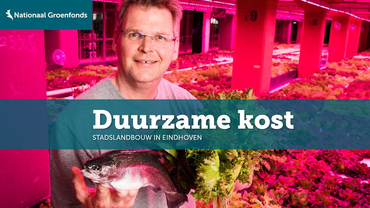 Stadslandbouw: Duurzame Kost Eindhoven
