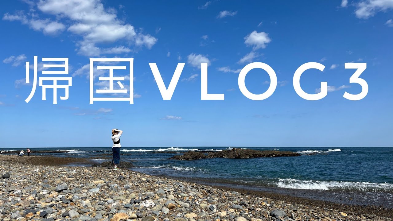 【一時帰国】やっぱり日本が好きだわ。VLOG3（最後）