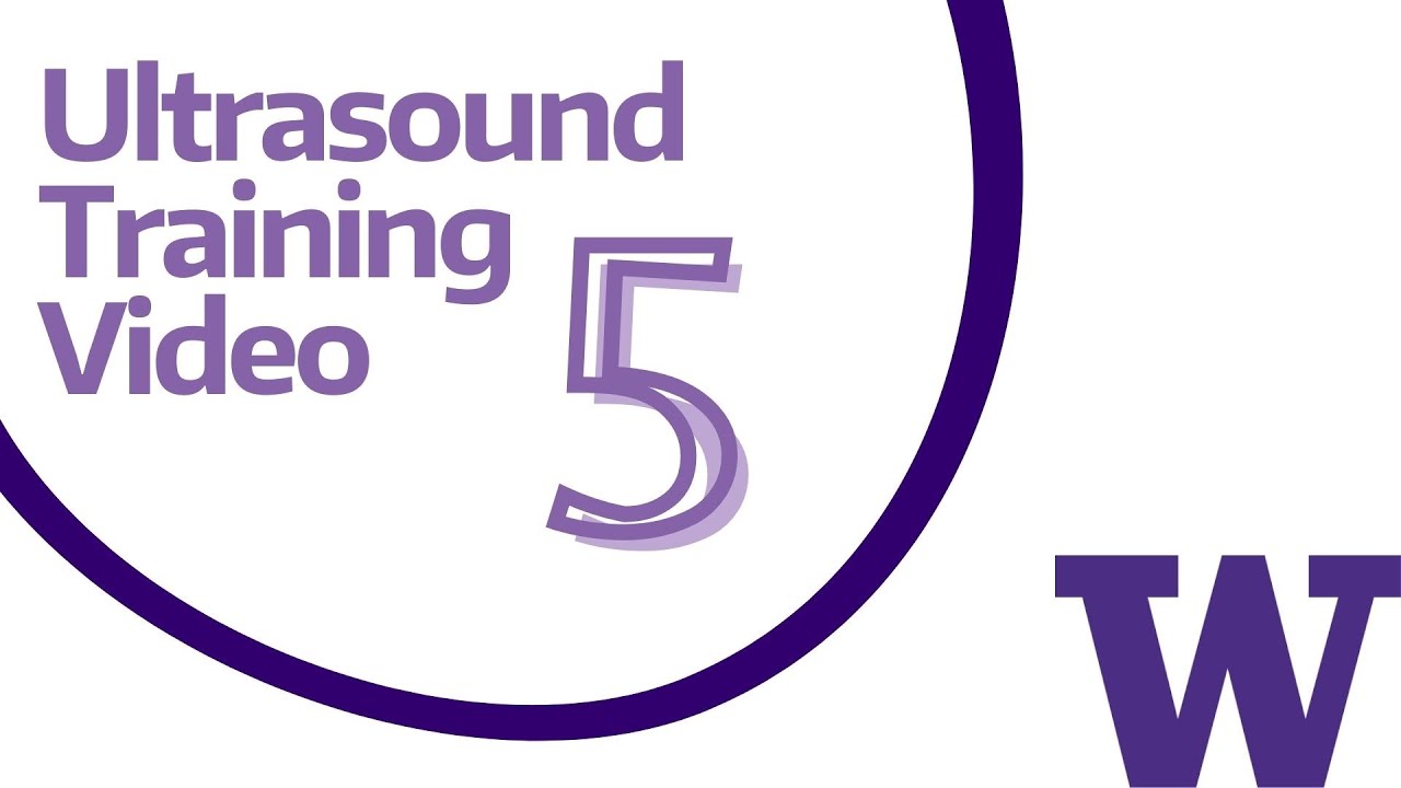 5_Ultrasound Training
