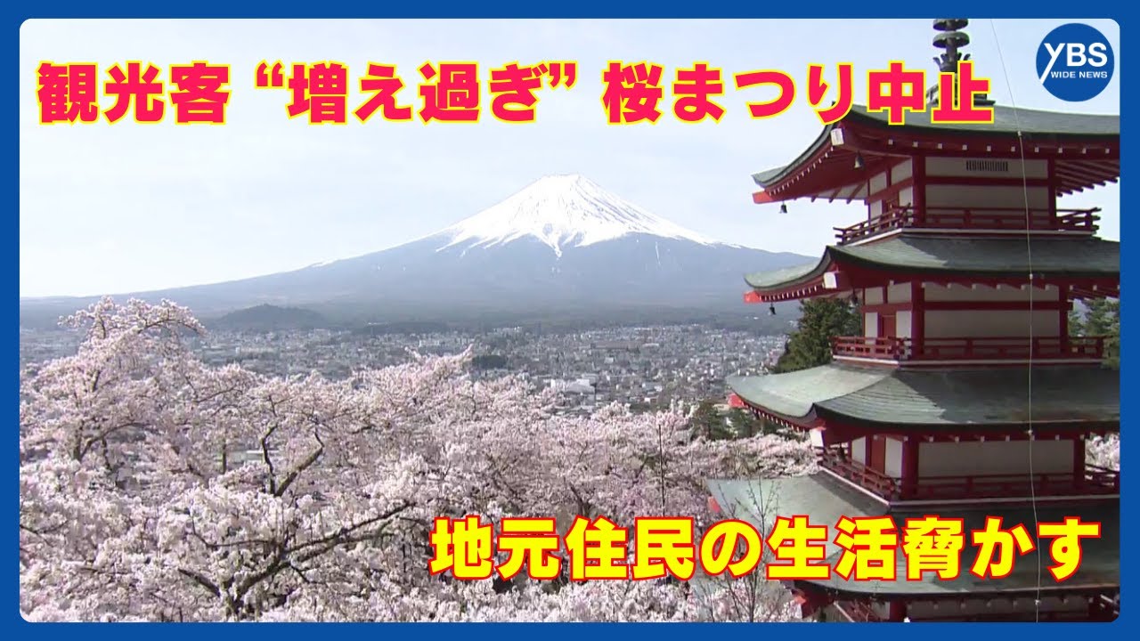 “桜＋富士山＋五重塔”の絶景 「桜祭り」の開催見送りが決定 オーバーツーリズム対策で