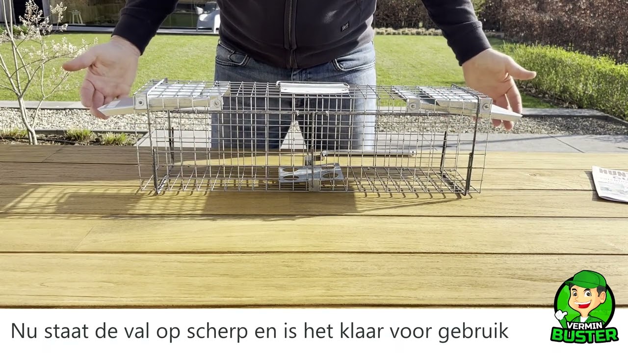 Ratten Vangkooi Productvideo