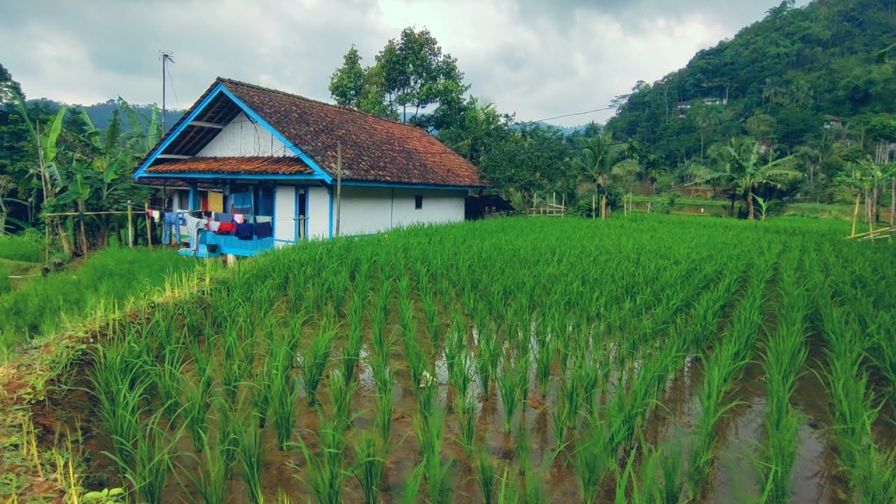 DIJAMIN BETAH 😍 MENIKMATI SUASANA KAMPUNG DI BULAN RAMADHAN 2026