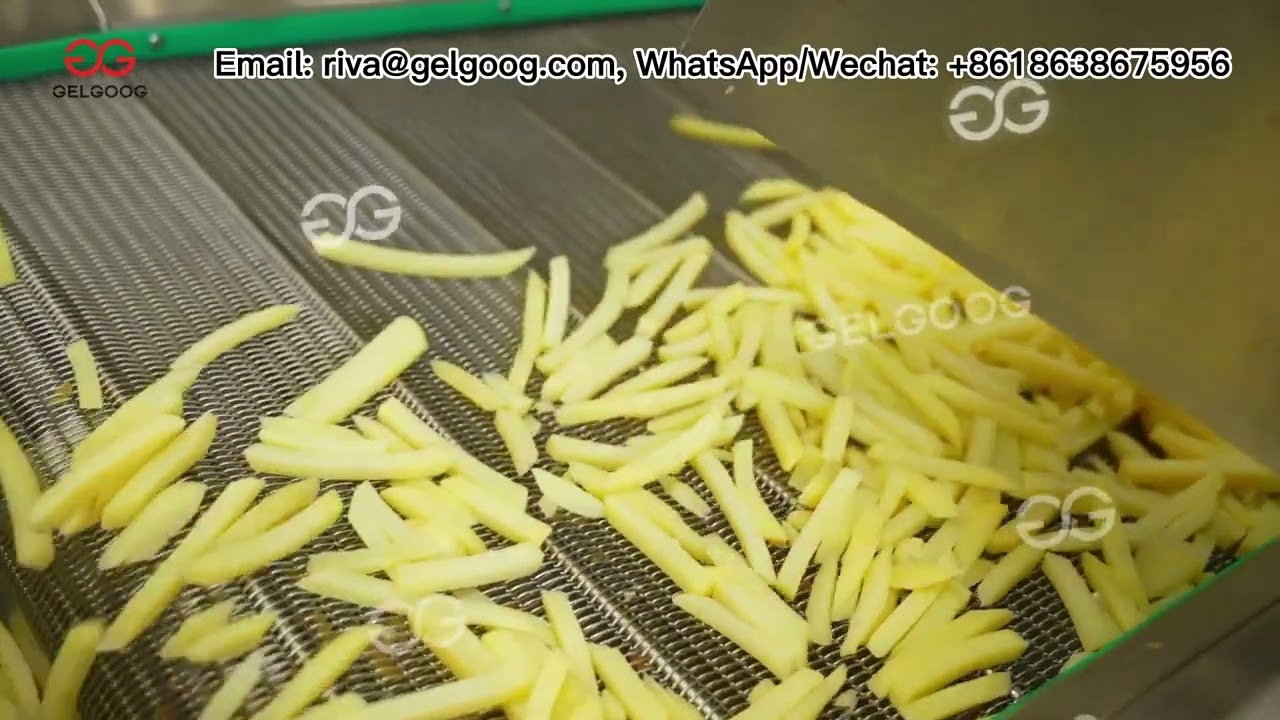 How Are Fries Made？French Fries Production Line