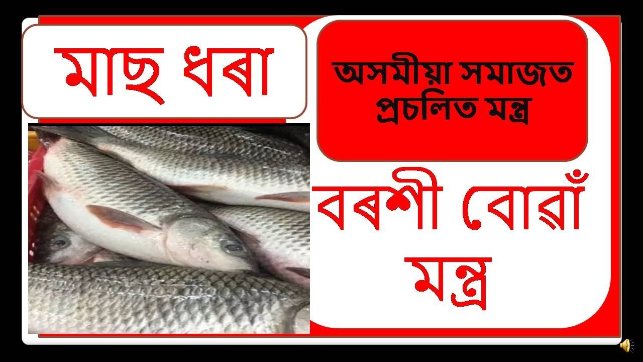 মাছ ধৰা মন্ত্ৰ ।। বৰশী বোৱা মন্ত্ৰ ।। Good Luck Fish Mantra || Fish Mantra || Fish Catching......