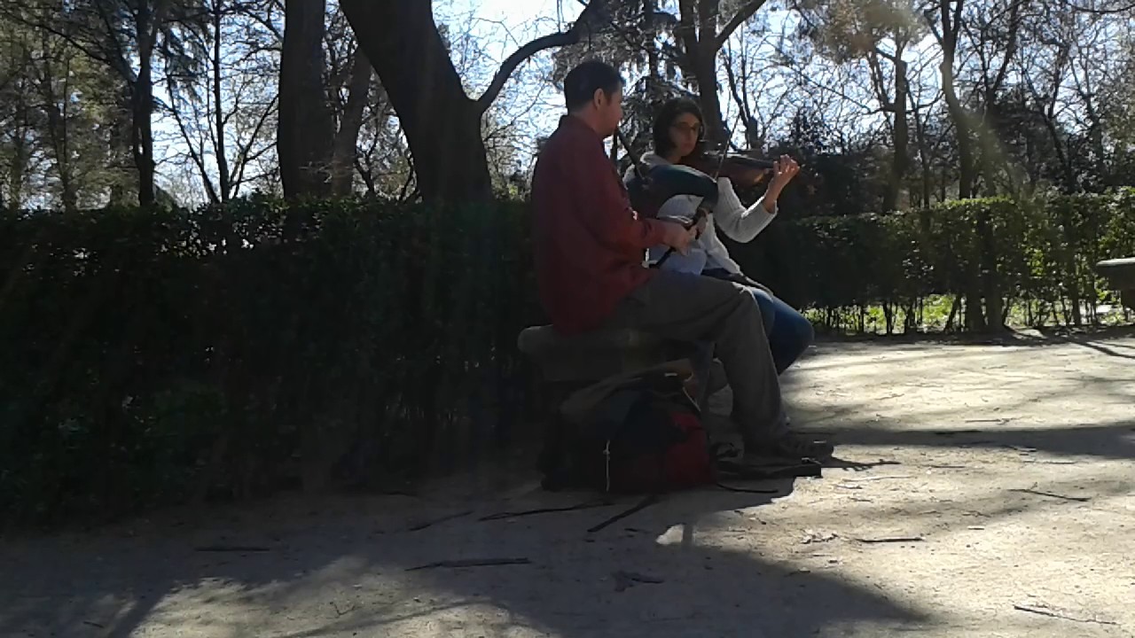 Melody from Zamora