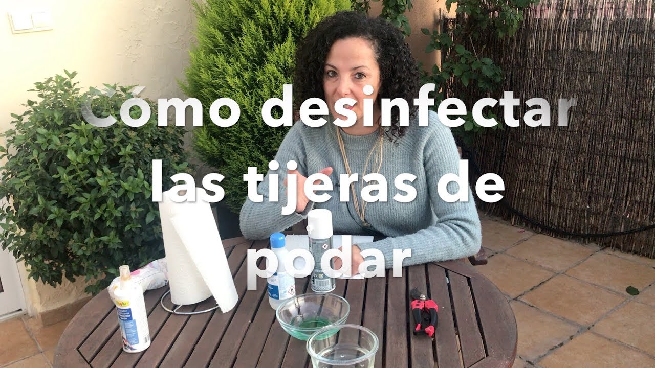 Cómo desinfectar las tijeras de podar