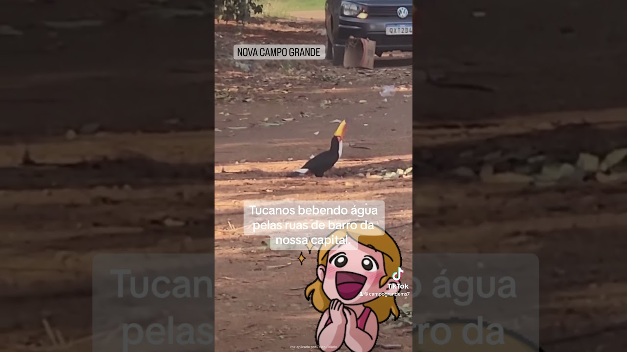 Campo Grande, Mato Grosso do Sul. #campograndems #matogrossodosul