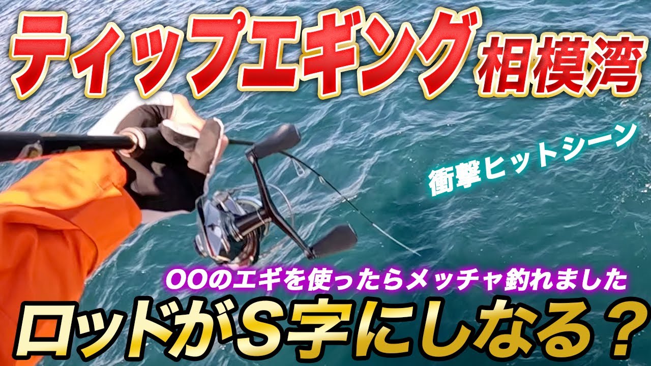 【相模湾ティップエギング】ロッドがS字にしなる？〇〇のエギを使ったらメッチャアオリイカ釣れました！