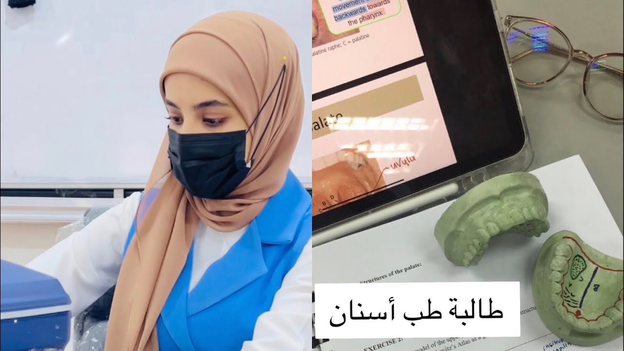فلوك#1 / يوميات طالبة طب أسنان // كلية الكوت الجامعة