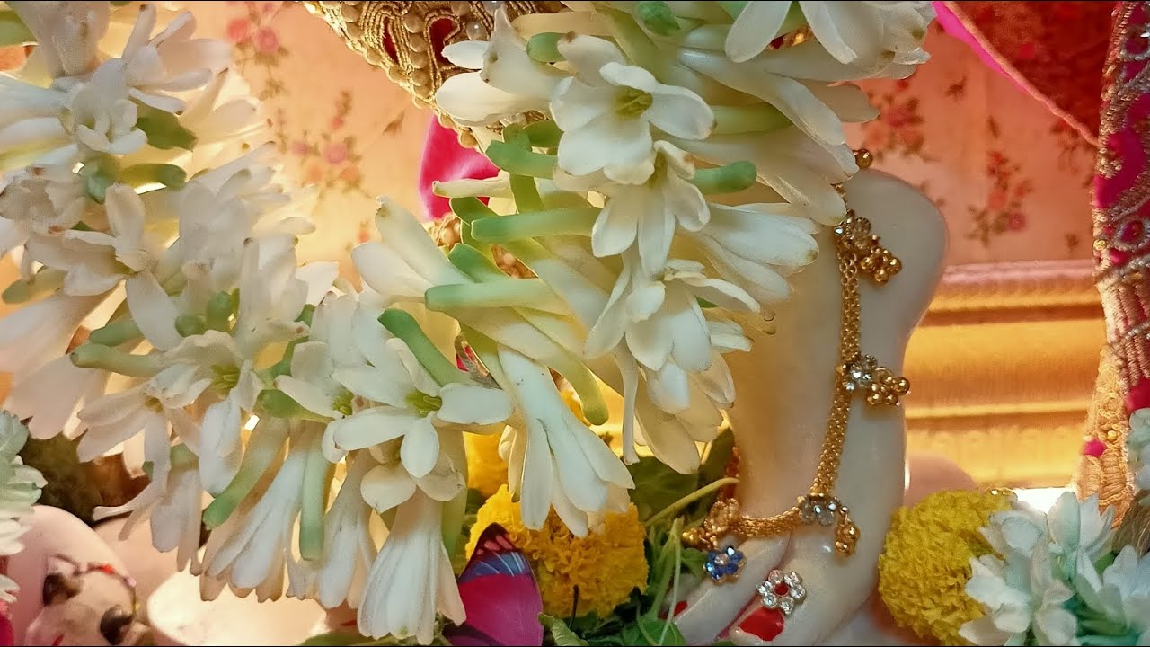 Yogini Ekadashi Shringar Darshan || Sri Sri Radha Giridhari Lal Ju || 2025 ||