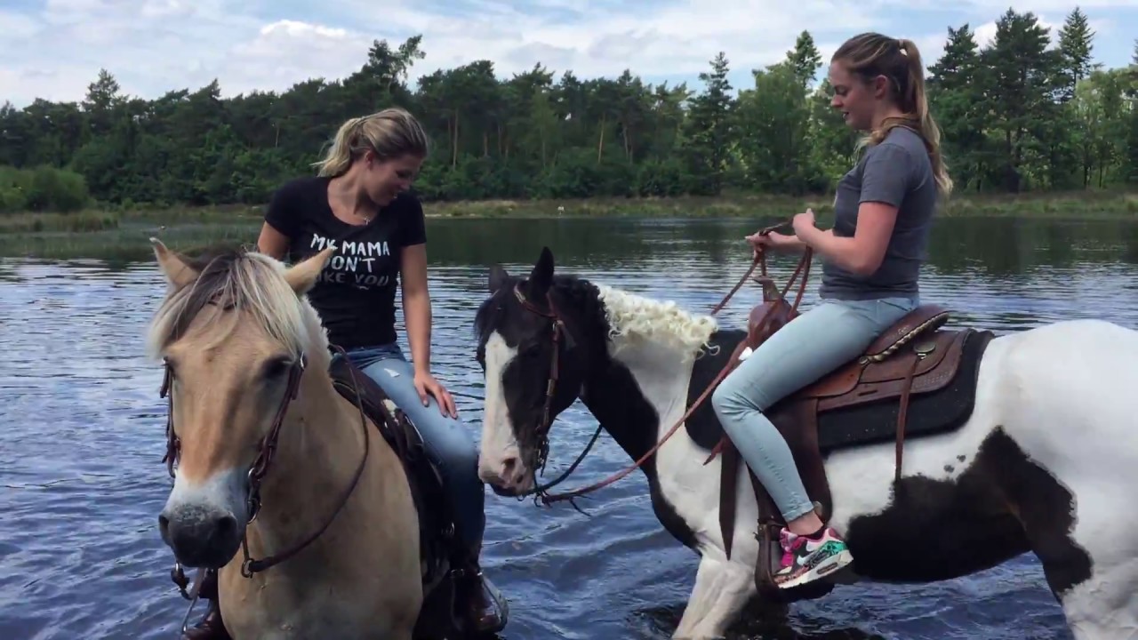Paarden zwemmen lekker in het water ... en natte sokken