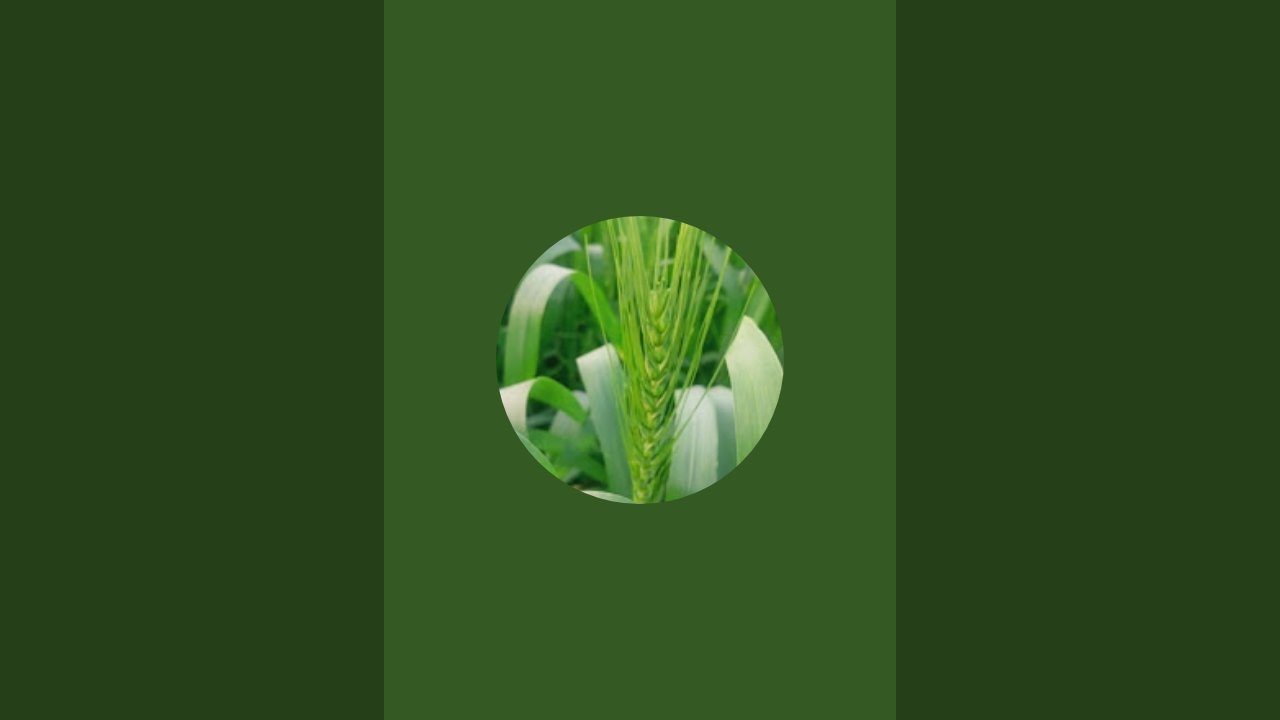 ANKIT HUB is live general knowledge question ❓