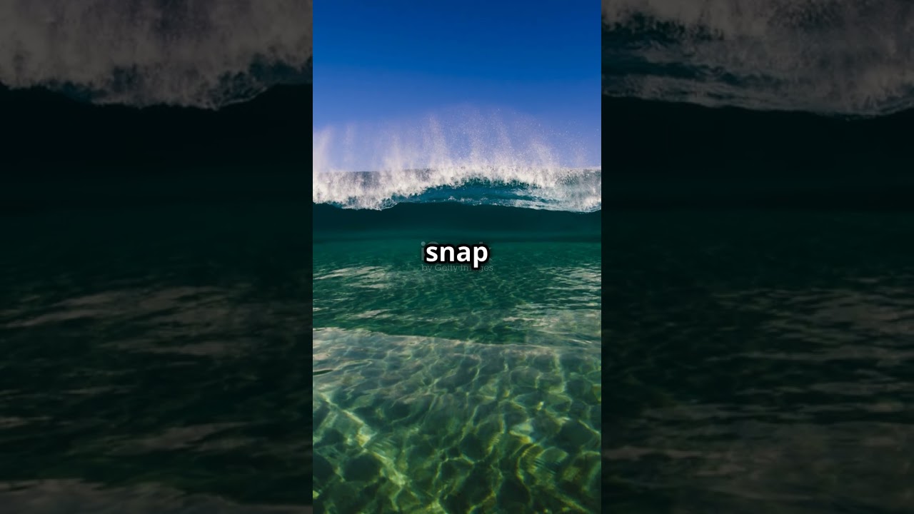 Mind Blowing Animal Facts in a Minute! 2024  