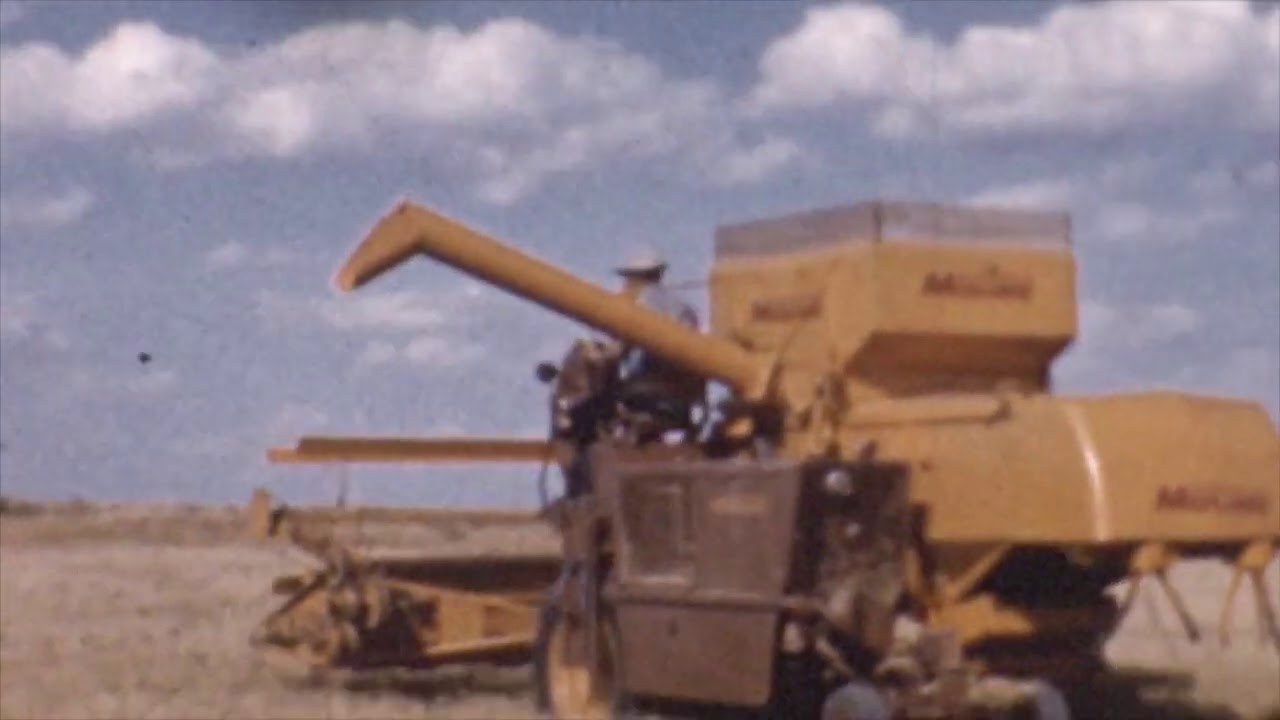 Wheat Harvest 1961