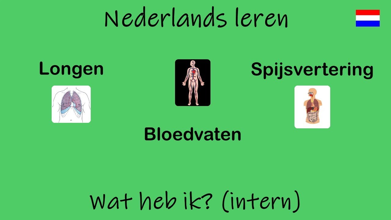 Nederlands leren; Wat heb ik? (intern)    (Les 37)