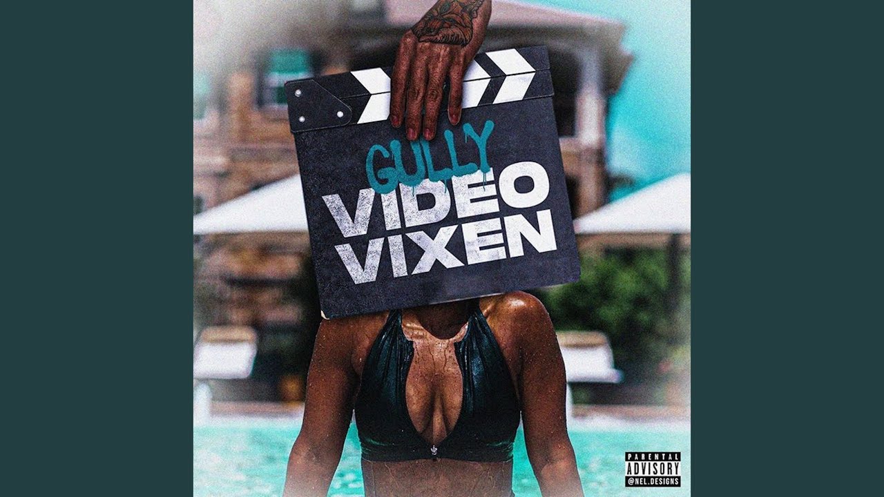 Video Vixen