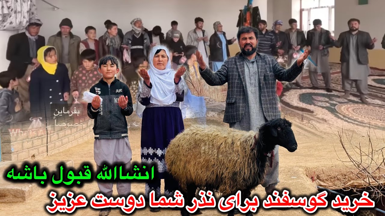 گوسفند نذری شما انشاالله قبول باشد 🤲🏻